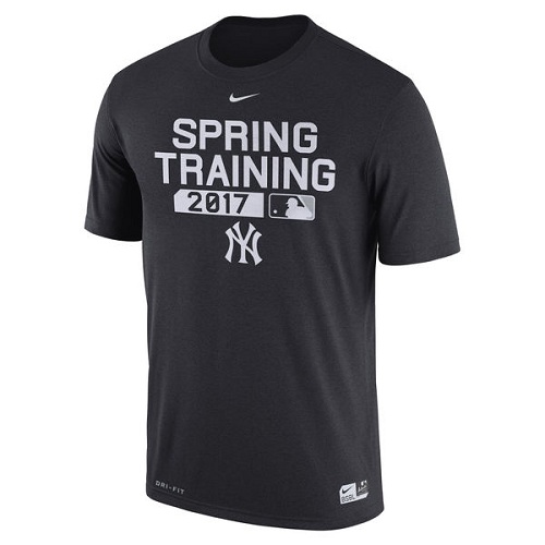 MLB Men's New York Yankees Nike Navy Authentic Collection Legend Team Issue Performance T-Shirt